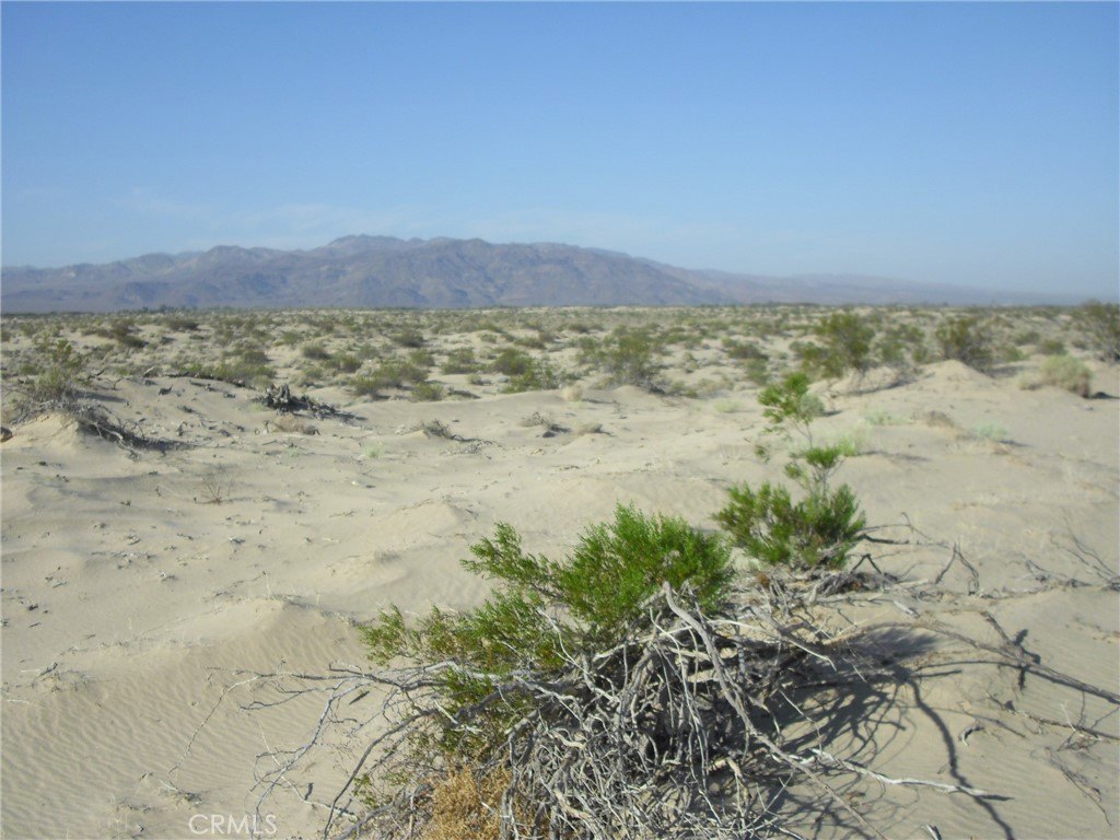Picture 9