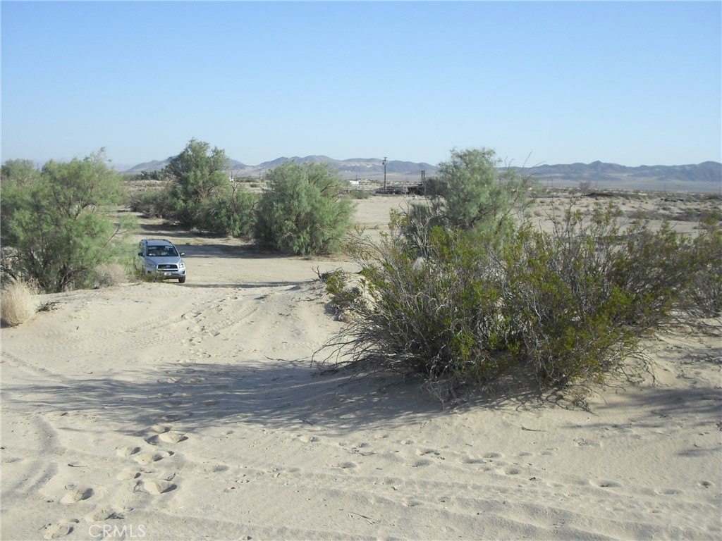 Picture 7