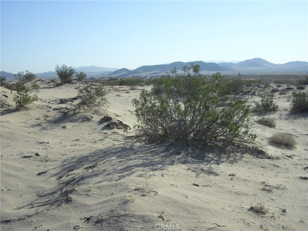 Picture 11