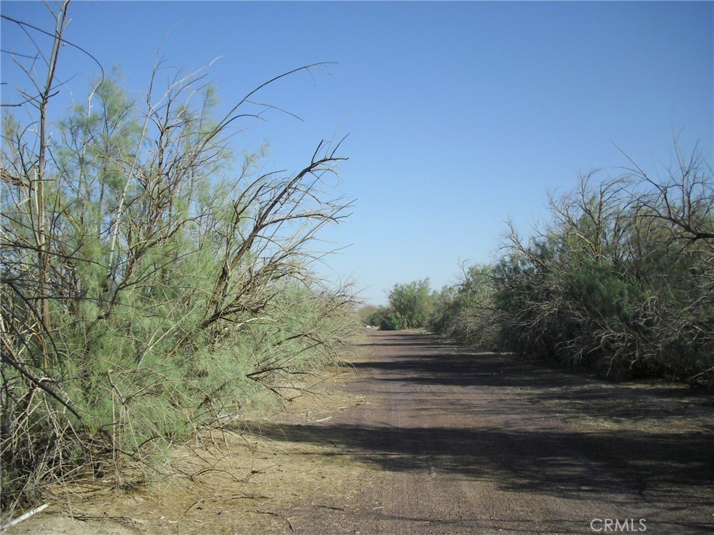 Picture 17