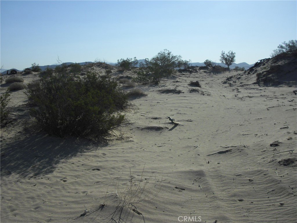 Picture 8