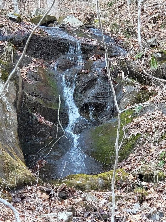 Picture 2