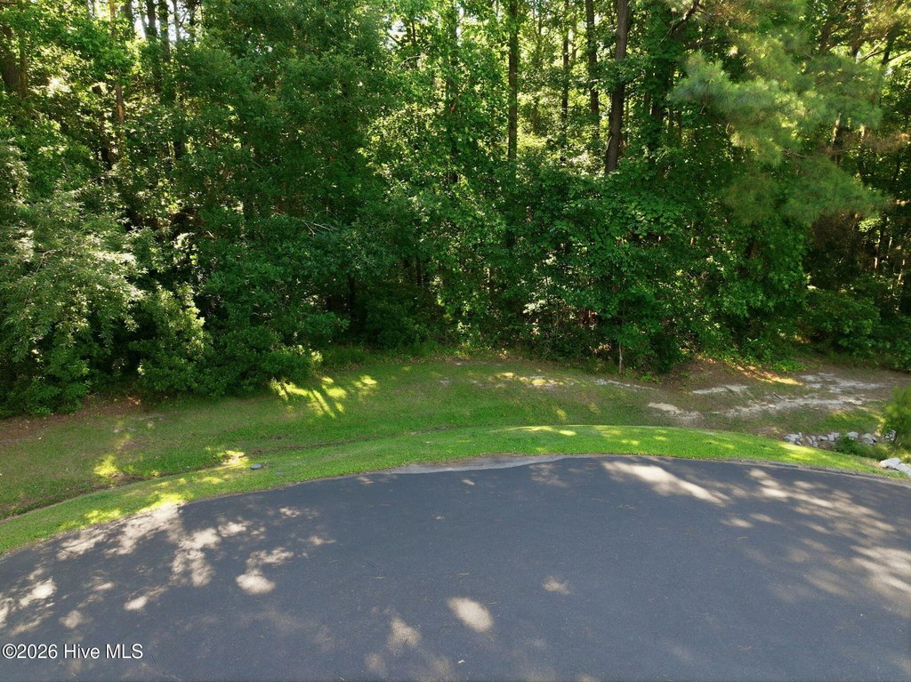 Picture 3