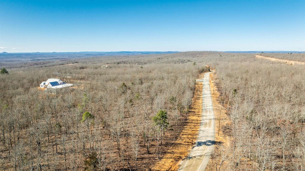 Picture 31