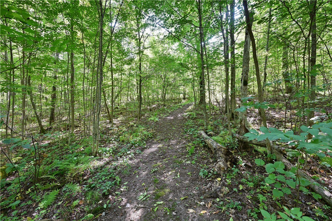 Rice Lake Buildable Land Opportunity
