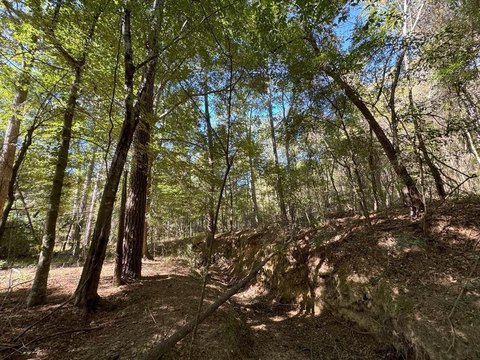 47 Acres Prime Land Opportunity