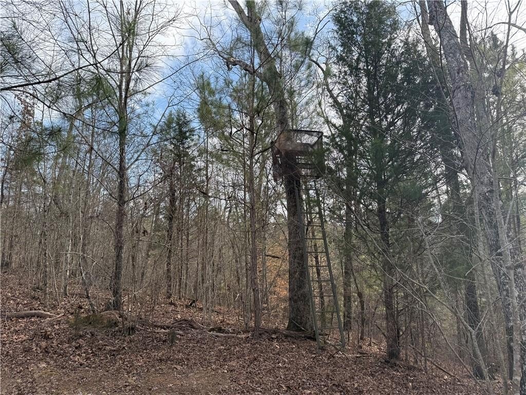 Picture 13