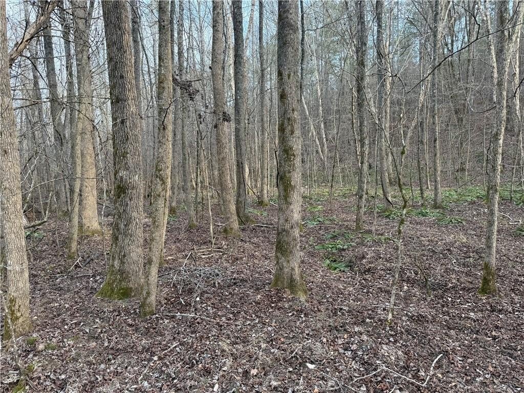 Picture 17