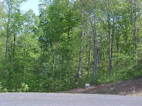 Wooded Lot in Stockton Lake