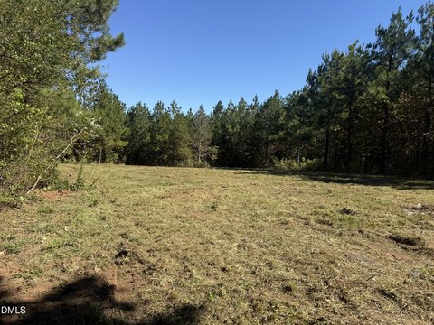 Land, Yanceyville, NC