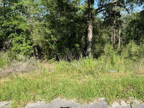 Wooded Lot in DeFuniak Springs