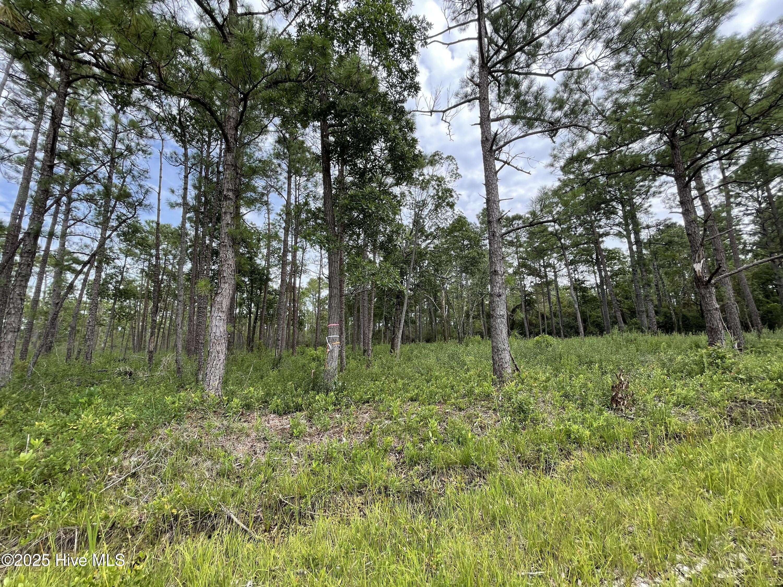 Southport, NC Homesite
