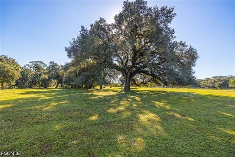Land, Alva, FL