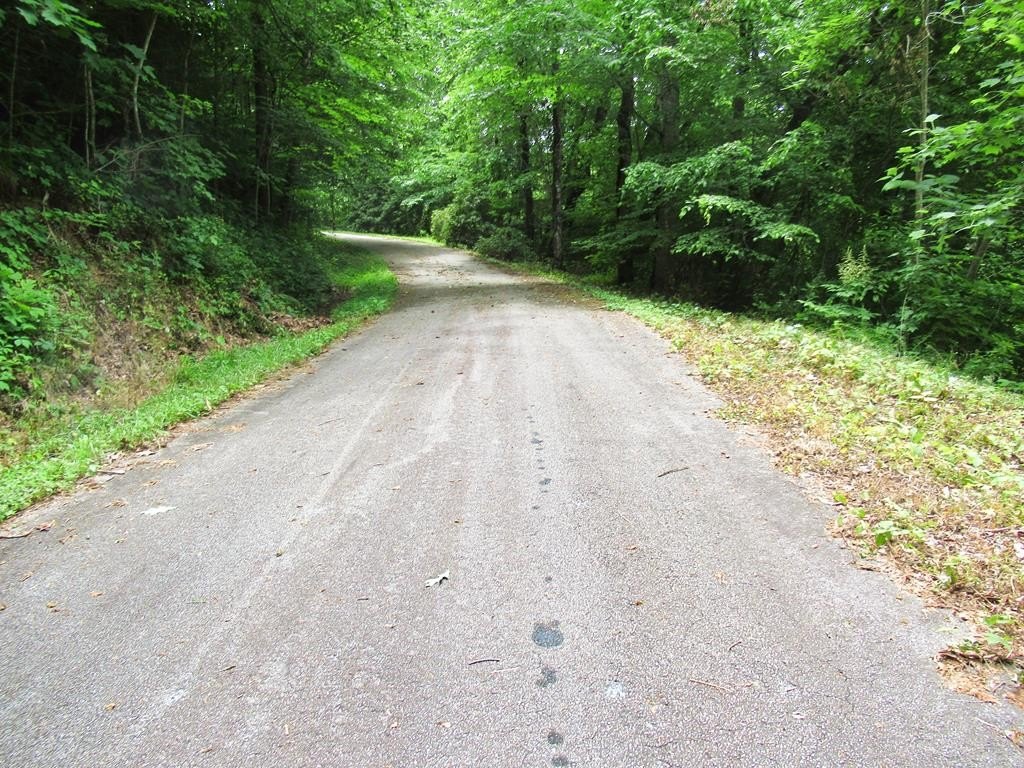 Picture 18