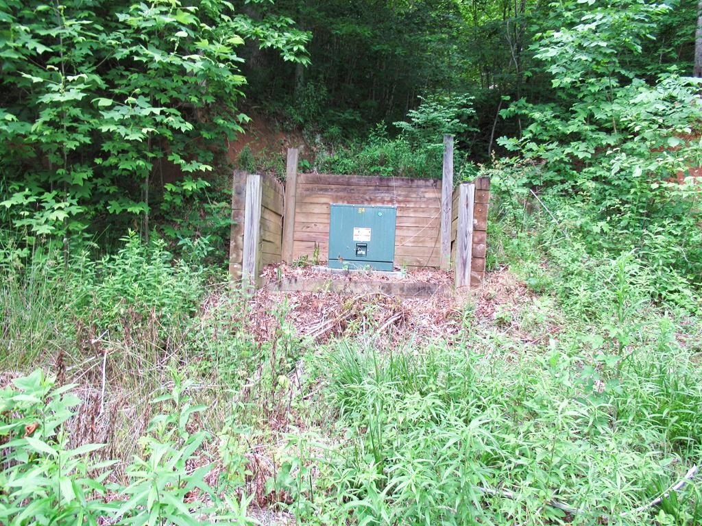 Picture 20