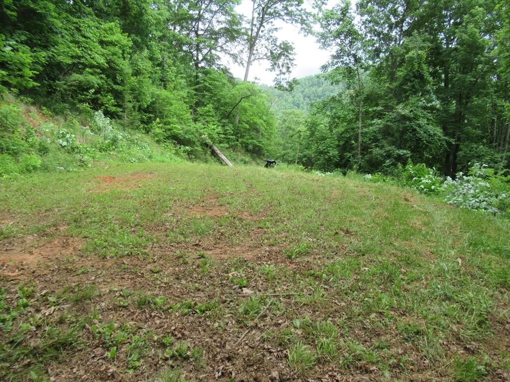 Picture 3