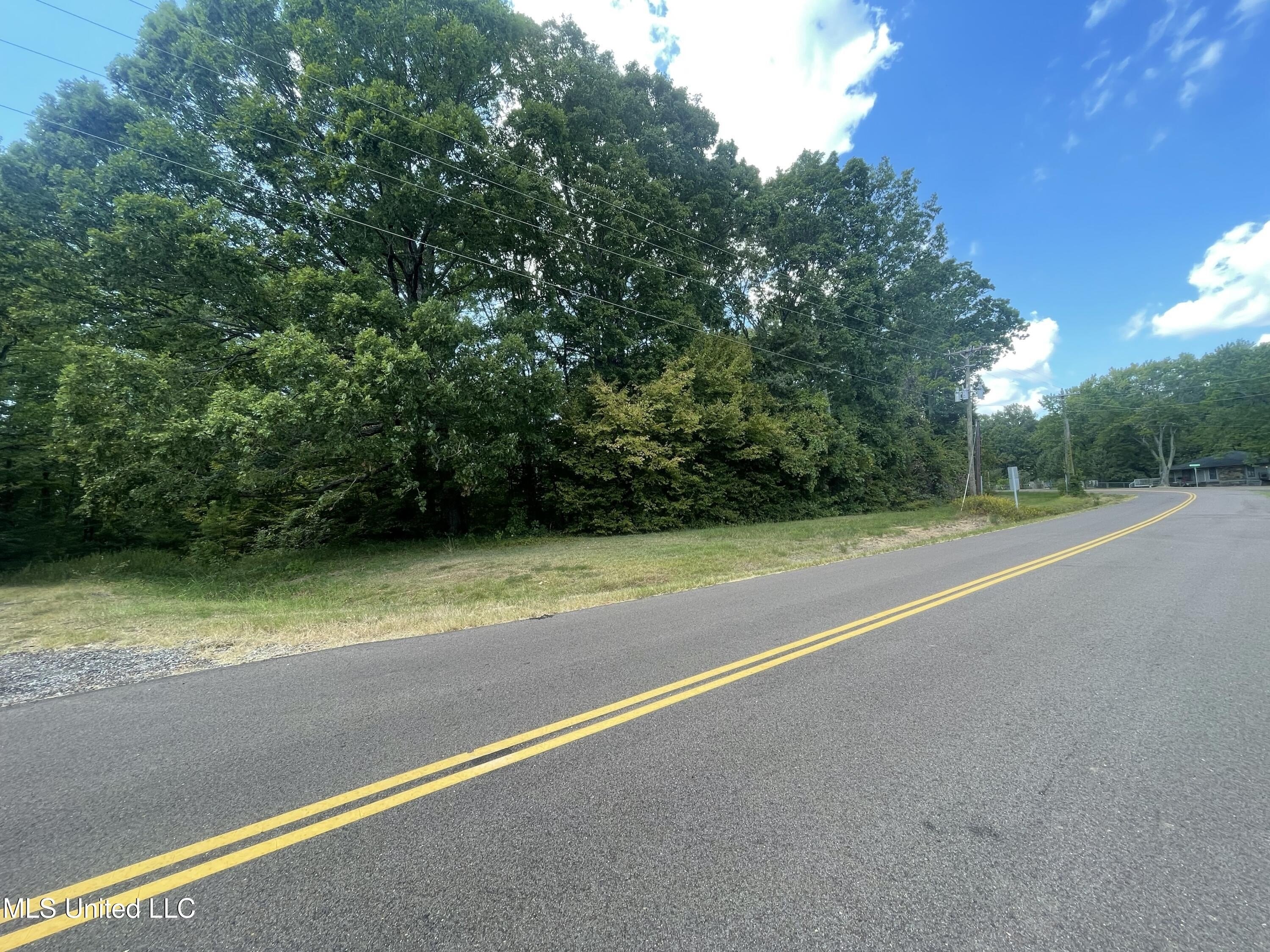 Residential Land in Chickasaw Bluff