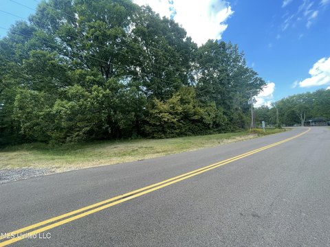 Residential Land in Chickasaw Bluff