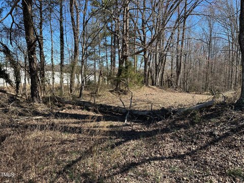 Wooded Land Parcel in Kernersville