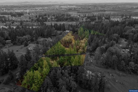 Albany Land with Approved Development