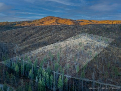 20.99 Acre Lot with Stream