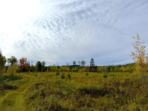 Mercer, WI Land Opportunity