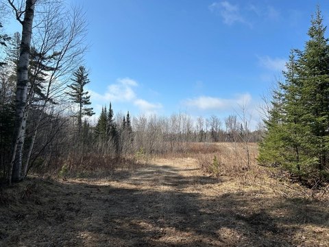 Mercer, WI Land Opportunity