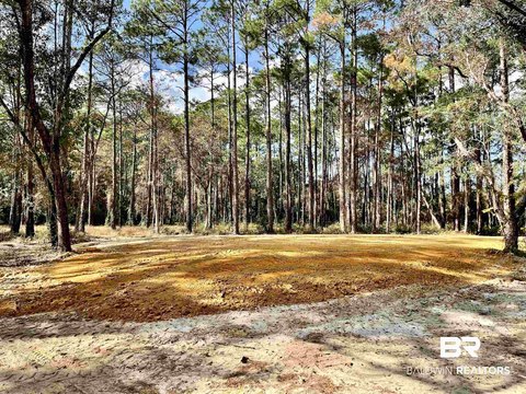 Residential Recreational Land with Easement Access