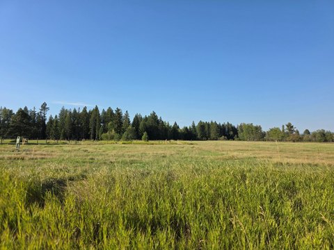 Land, Kalispell, MT
