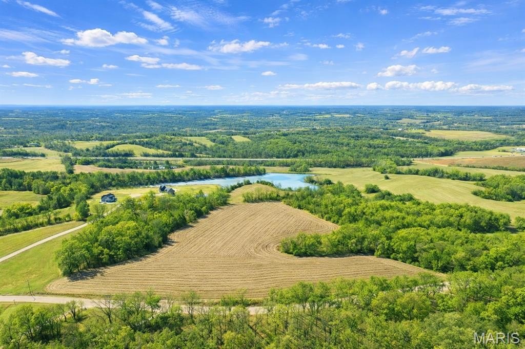 Picture 3