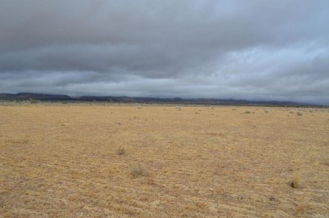 Agricultural Land Parcel