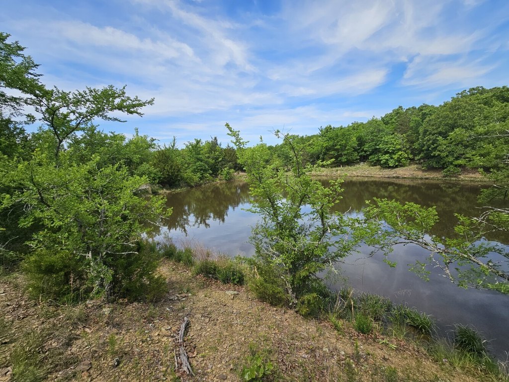 Picture 19