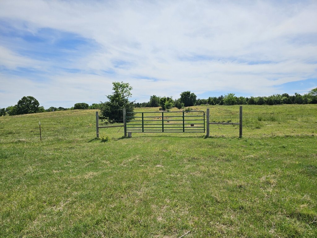 Picture 29