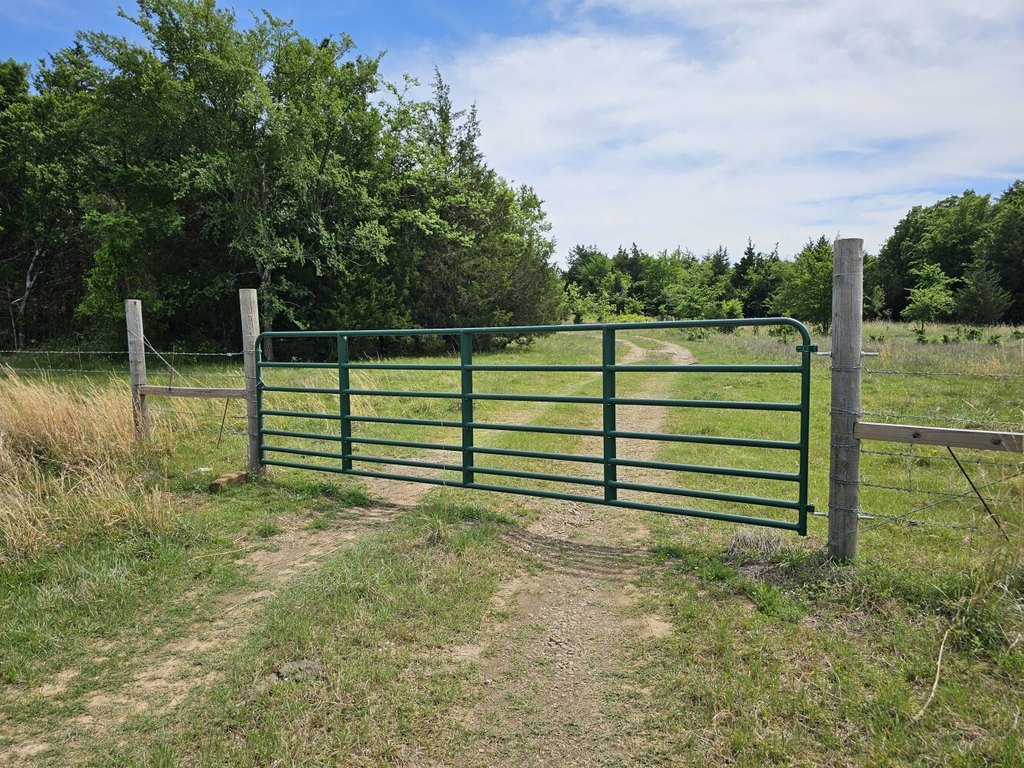 Picture 21