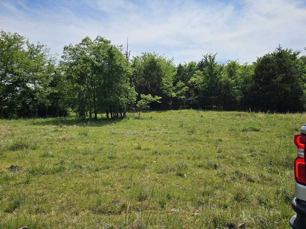 Picture 10