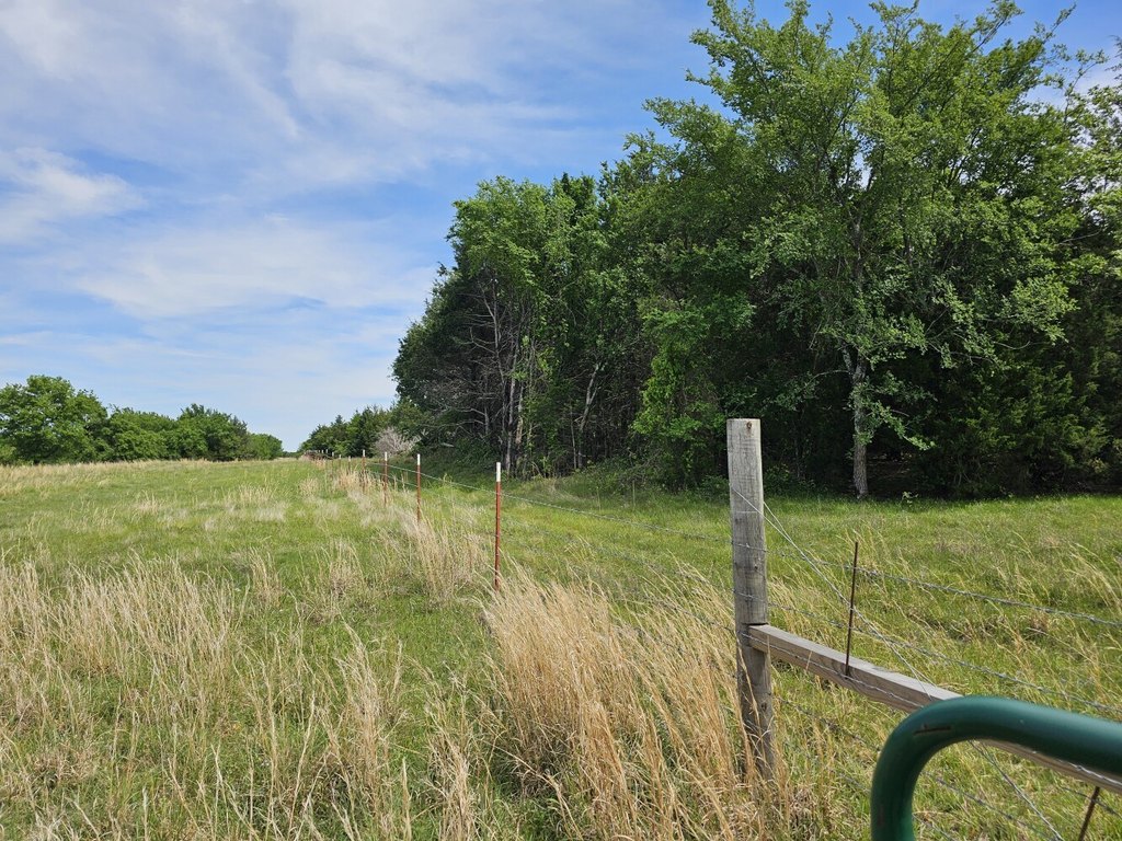 Picture 22
