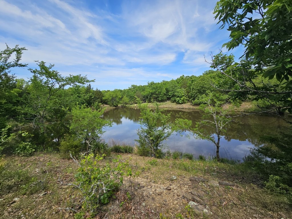 Picture 20
