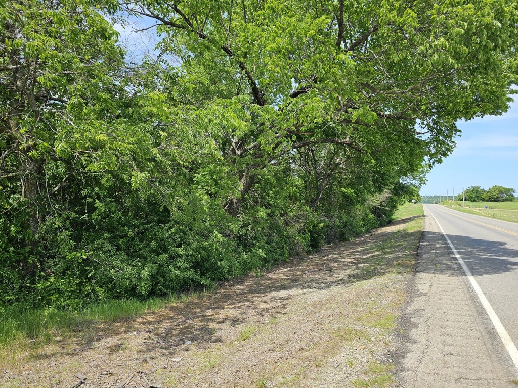 Picture 32