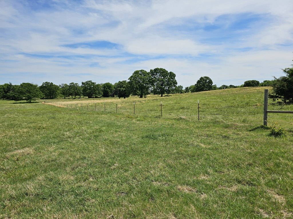 Picture 11