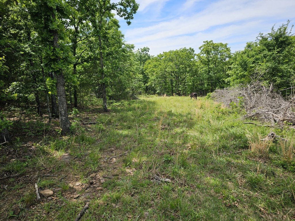 Picture 17