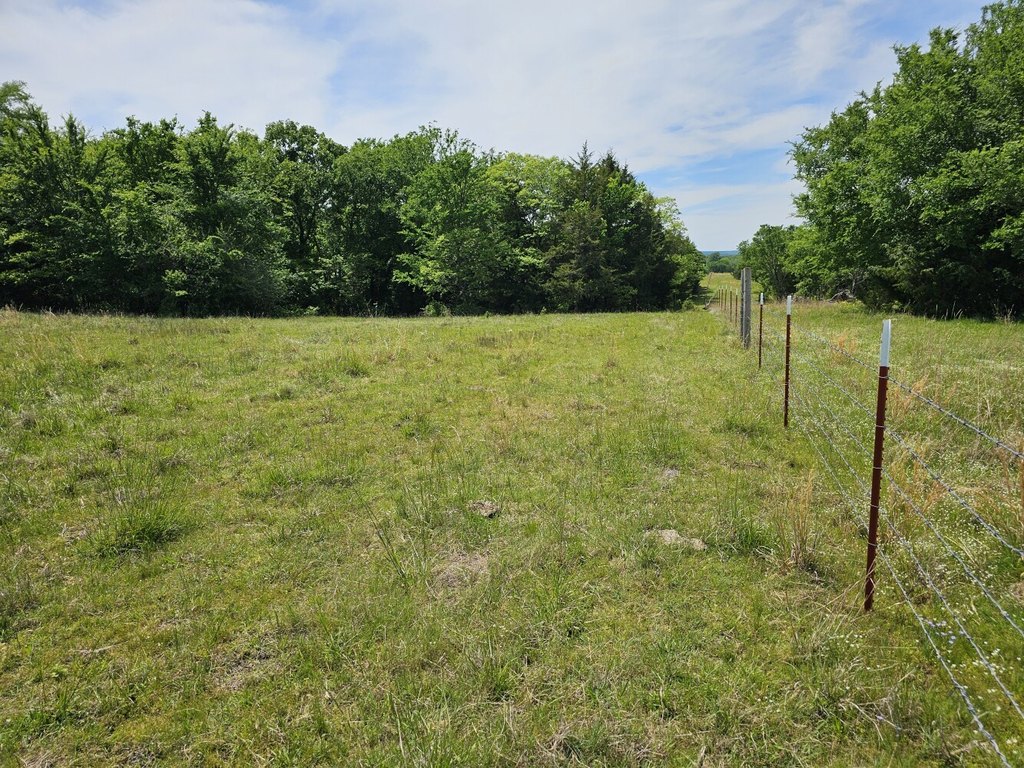 Picture 27
