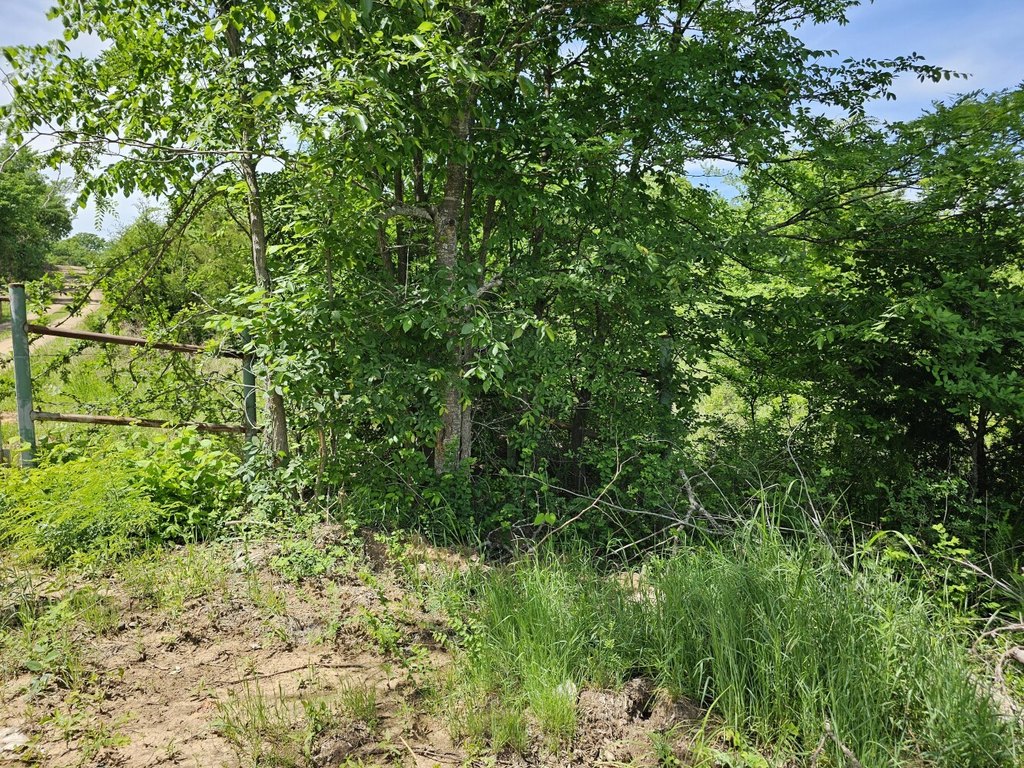 Picture 33