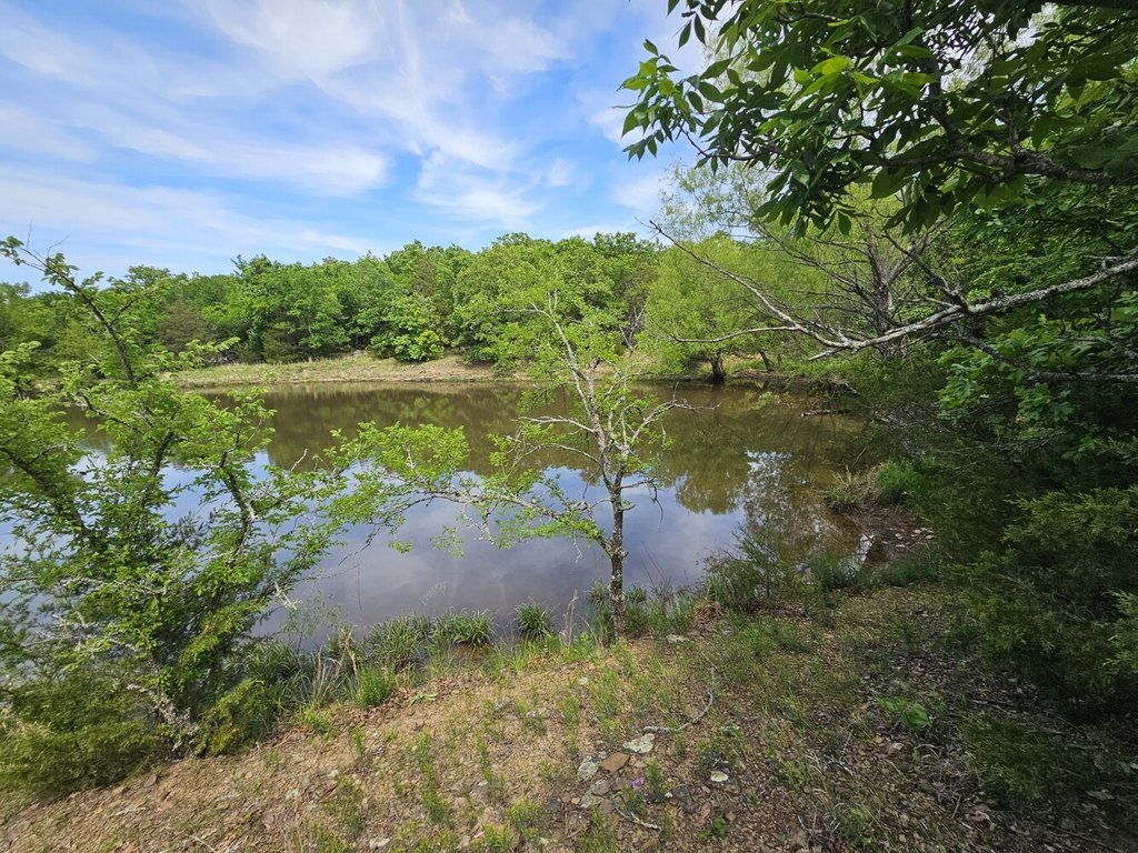 Picture 18