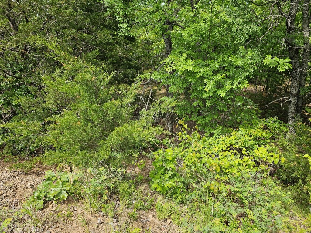 Picture 23