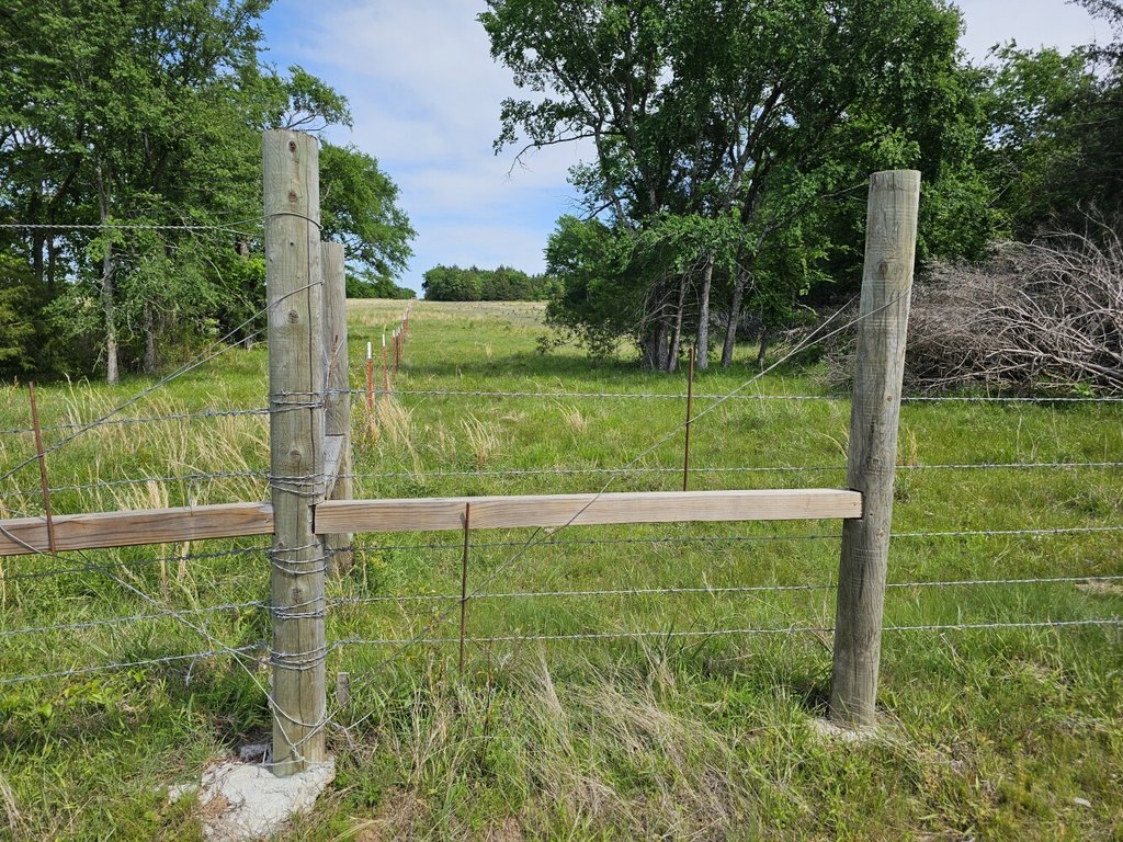 Picture 31