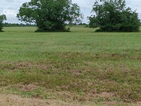 Residential Land in Angleton, TX