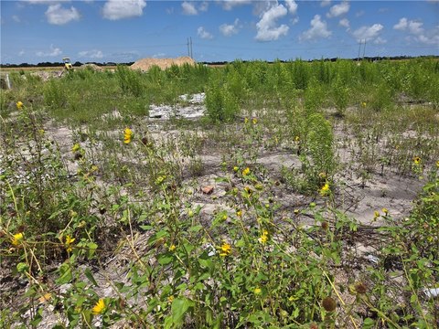LAND - Corpus Christi, TX