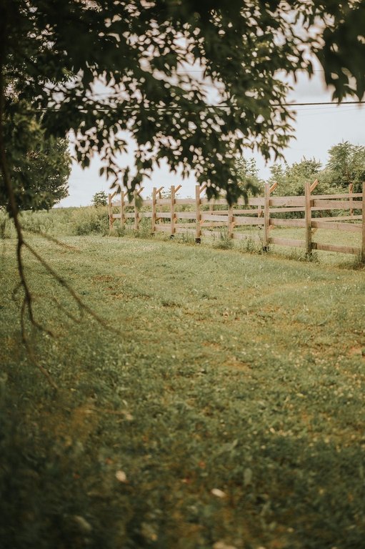 Picture 42