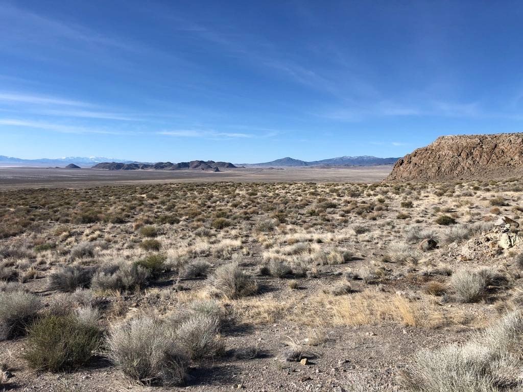 Picture 17