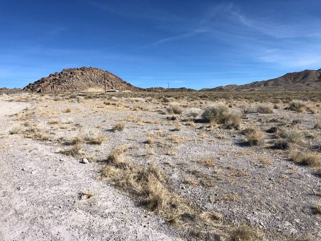 Picture 29